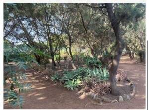 IMG 20250414 WA0067 300x222